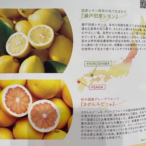 IGNISサニーサワーライン🍋✨ | BLOG | ローズマリー（ROSEMARY）