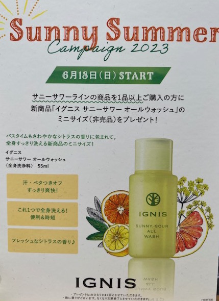 IGNISサニーサワーライン🍋✨ | BLOG | ローズマリー（ROSEMARY）