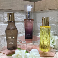 アルビオン＆イグニスこの秋冬にオススメのオイル✨✨