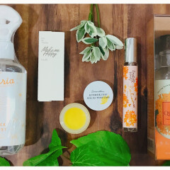 【随時更新】秋を感じる金木犀コスメ🍁全11ブランド31品をご紹介／【生活の木】【FERNANDA(フェルナンダ)】【アンドエクラ】【KUSCHEL J(クシェルヨット)】【WONDER HONEY(ワンダーハニー)】【BIBIDAY(ビビディ)】【QUATRE(キャトル)】【OHANA MAHAALO(オハナマハロ)】【クリーン】【キャンメイク】【John's Blend(ジョンズブレンド)】