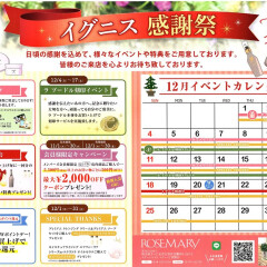 🎄１２月はイグニス感謝祭🎉