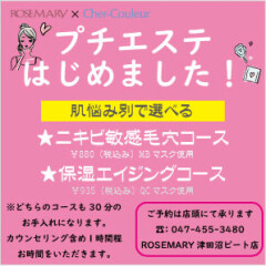 シェルクルールお手入れ会始まりました！