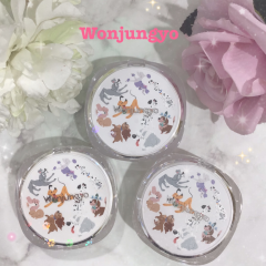 【Wonjungyo】ディズニーデザインパッケージ登場🌸🫧【ウォンジョンヨ】