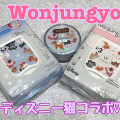 🆕ウォンジョンヨ　ディズニー猫コラボ✨✨