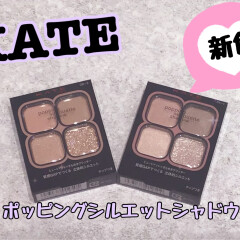 🆕KATE（ケイト）　バズリシャドウ新色✨✨