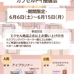 【エクセル当店限定イベント開催】6/6〜6/15の期間限定カプセルトイ抽選会を開催します💗✨