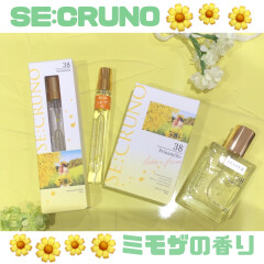 【SE:CRUNO】春らしいミモザの香りが登場🌼