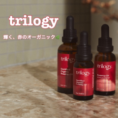 trilogy《トリロジー》取り扱い再開致しました🌿