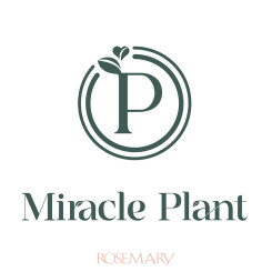 【ローズマリー限定】「Miracle Plant（ミラクルプラント）」ナチュラルスリープパフューム発売！